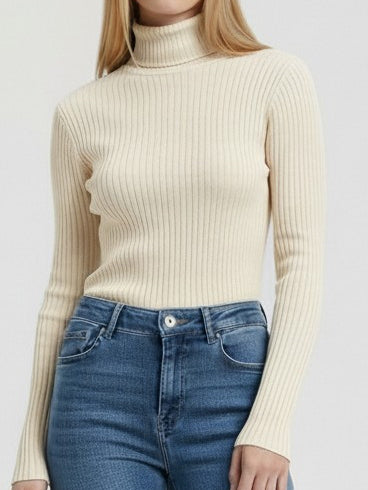 Rib Knit Roll Neck