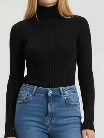 Rib Knit Roll Neck